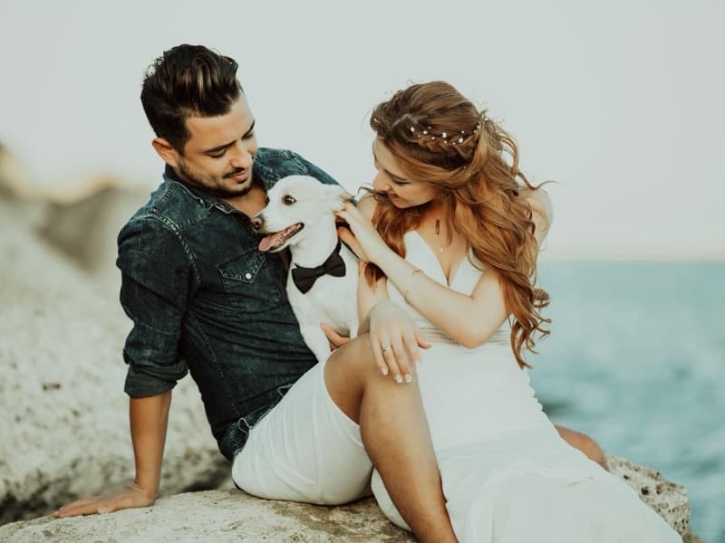 Destination PAWadise