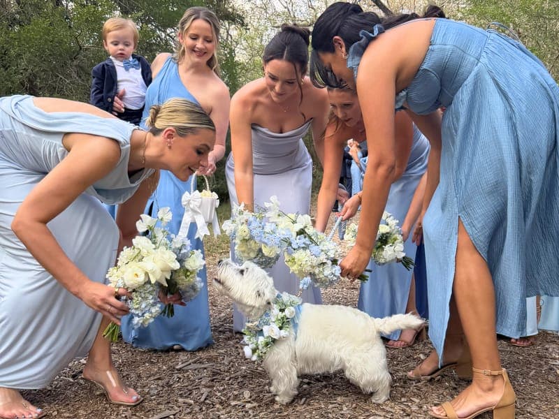 Bark & Bride